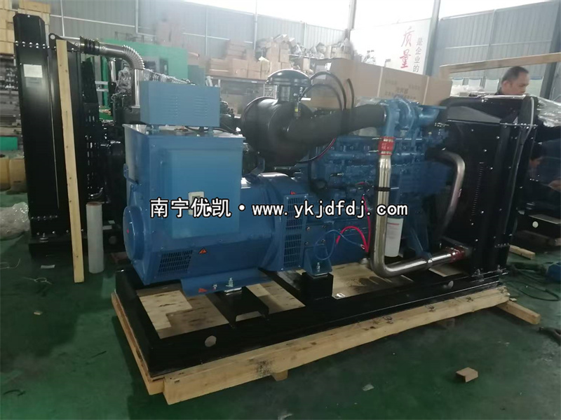 2025年2月20日，國外項目兩臺150KW玉柴柴油發(fā)電機組裝車出口